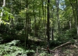 Tract 4 - The Woods at Titus property photo