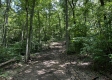 Tract 4 - The Woods at Titus property photo