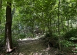 Tract 4 - The Woods at Titus property photo