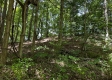 Tract 4 - The Woods at Titus property photo