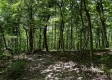Tract 4 - The Woods at Titus property photo