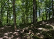Tract 4 - The Woods at Titus property photo