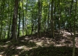 More of Tract 4 - The Woods at Titus