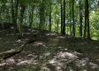 Tract 4 - The Woods at Titus property photo