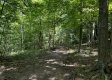 Tract 4 - The Woods at Titus property photo