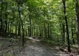 Tract 4 - The Woods at Titus property photo