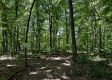 Tract 4 - The Woods at Titus property photo