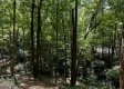 Tract 4 - The Woods at Titus property photo