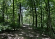 Tract 4 - The Woods at Titus property photo