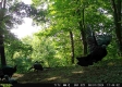 Tract 4 - The Woods at Titus property photo