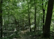 Turkey Ridge Cabin at Titus Woods property photo