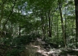Turkey Ridge Cabin at Titus Woods property photo