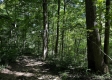 Turkey Ridge Cabin at Titus Woods property photo