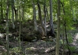 Turkey Ridge Cabin at Titus Woods property photo