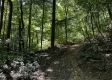Turkey Ridge Cabin at Titus Woods property photo
