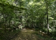 Turkey Ridge Cabin at Titus Woods property photo