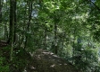 Turkey Ridge Cabin at Titus Woods property photo