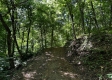 Turkey Ridge Cabin at Titus Woods property photo
