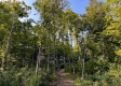 Tract 1 - Sheridan Woods property photo