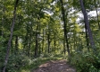 Tract 1 - Sheridan Woods property photo