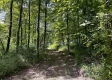 Tract 1 - Sheridan Woods property photo