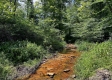 Tract 1 - Sheridan Woods property photo