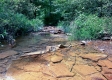 Tract 1 - Sheridan Woods property photo