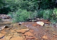 Tract 1 - Sheridan Woods property photo
