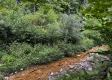Tract 1 - Sheridan Woods property photo