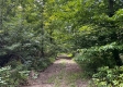 Tract 1 - Sheridan Woods property photo