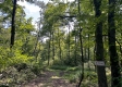 Tract 1 - Sheridan Woods property photo