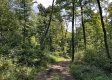 Tract 1 - Sheridan Woods property photo