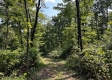 Tract 1 - Sheridan Woods property photo