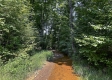 Tract 1 - Sheridan Woods property photo
