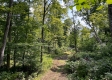 Tract 1 - Sheridan Woods property photo