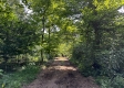 Tract 1 - Sheridan Woods property photo