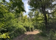 Tract 1 - Sheridan Woods property photo