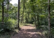 Tract 1 - Sheridan Woods property photo
