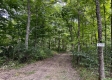 More of Tract 1 - Sheridan Woods