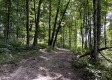 Tract 1 - Sheridan Woods property photo