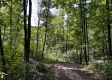 Tract 1 - Sheridan Woods property photo