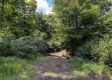 Tract 1 - Sheridan Woods property photo