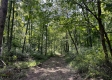 Tract 1 - Sheridan Woods property photo