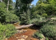 Tract 1 - Sheridan Woods property photo