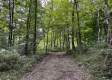 Tract 1 - Sheridan Woods property photo