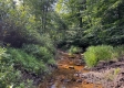 Tract 1 - Sheridan Woods property photo