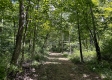 More of Tract 1 - Sheridan Woods