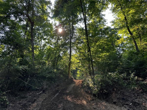 Tract 2 - Sheridan Woods property photo
