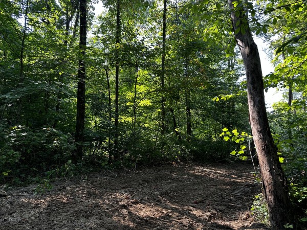 Tract 2 - Sheridan Woods property photo