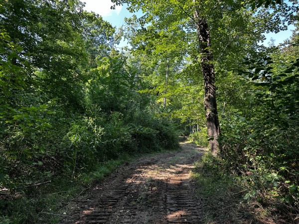 Tract 2 - Sheridan Woods property photo